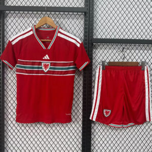 Wales 2026/27 Home Jersey – Kids Version