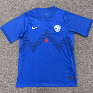 Slovenia 2026/27 Home Jersey – Fan Version