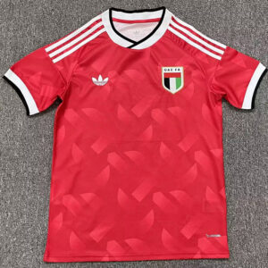 United Arab Emirates 2026/27 Away Jersey – Fan Version
