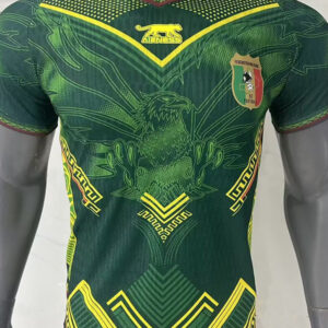 Mali 2026/27 Away Jersey – Player Version